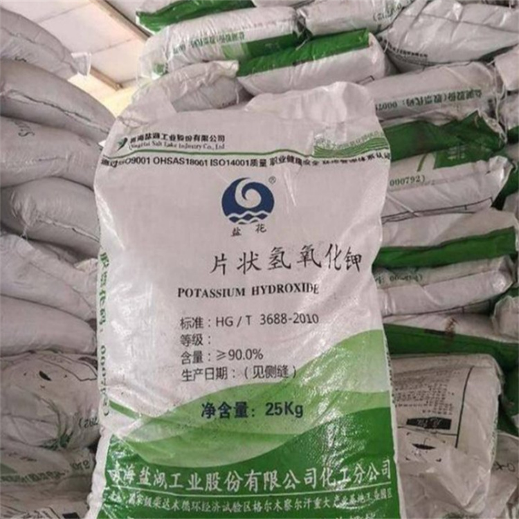 美女搞基被艹免费视频在线观看